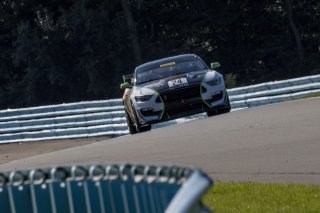 #24 Ford Mustang GT4 of Frank Gannett, Ian Lacy Racing, Watkins Glen World Challenge America, Watkins Glen NY
 | Brian Cleary/SRO
