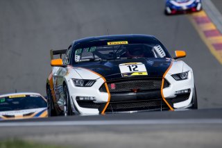 #12 Ford Mustang GT4 of Drew Staveley, Ian Lacy Racing, Watkins Glen World Challenge America, Watkins Glen NY
 | Brian Cleary/SRO
