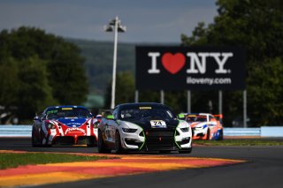 #24 Ford Mustang GT4 of Frank Gannett, Ian Lacy Racing, Watkins Glen World Challenge America, Watkins Glen NY
 | SRO Motorsports Group