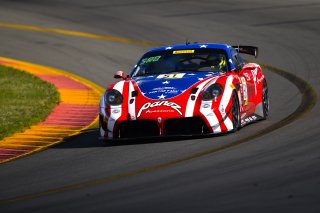 #51 Panoz Avezzano GT of Preston Calvert and Matthew Keegan with Team Panoz Racing

Watkins Glen World Challenge America , Watkins Glen NY | Gavin Baker/SRO
