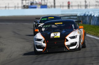 #12 Ford Mustang GT4 of Drew Staveley  with Ian Lacy Racing

Watkins Glen World Challenge America , Watkins Glen NY | Gavin Baker/SRO
