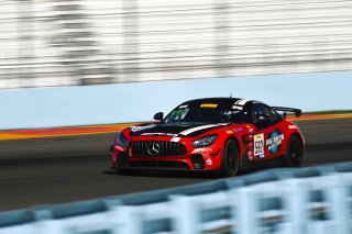 #592 Mercedes-AMG GT4 of Mark Ramsey and Alexandre Premat with Ramsey Racing/EXR-Team by Premat

Watkins Glen World Challenge America , Watkins Glen NY | Gavin Baker/SRO
