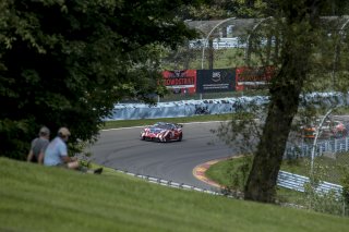 #50 Panoz Avezzano GT4 of Ian James, Team Panoz Racing, Watkins Glen World Challenge America, Watkins Glen NY
 | Brian Cleary/SRO
