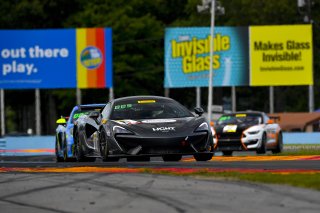 #11 McLaren 570S GT4 of Tony Gaples  with Blackdog Speed Shop

Watkins Glen World Challenge America , Watkins Glen NY

 | Gavin Baker/SRO
