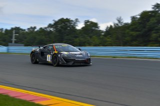#11 McLaren 570S GT4 of Tony Gaples  with Blackdog Speed Shop

Watkins Glen World Challenge America , Watkins Glen NY

 | Gavin Baker/SRO
