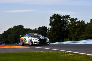 #24 Ford Mustang GT4 of Frank Gannett  with Ian Lacy Racing

Watkins Glen World Challenge America , Watkins Glen NY

 | Gavin Baker/SRO
