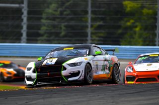 #24 Ford Mustang GT4 of Frank Gannett, Ian Lacy Racing, Watkins Glen World Challenge America, Watkins Glen NY
 | SRO Motorsports Group
