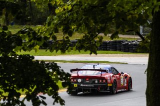 #51 Pano Avezzano GT4, Preston Calvert, Matthew Keegan, Team Panoz Racing, SRO Pirelli GT4 America, Road America, September 2019.
 | Bob Chapman/SRO                    
