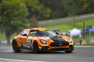 #34 Mercedes-AMG GT4 of Matthew Fassnacht and Christian Szymczak with Murillo Racing

Road America World Challenge America , Elkhart Lake WI | Gavin Baker/SRO
