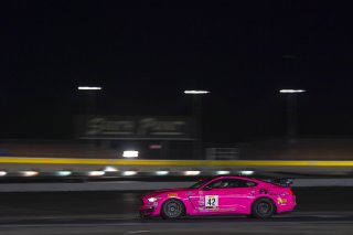 #42 Ford Mustang GT4 of Shane Lewis  with PF Racing

2019 Blancpain GT World Challenge America - Las Vegas, Las Vegas NV | Gavin Baker/SRO
