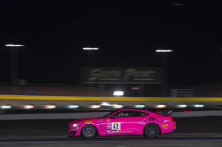 #42 Ford Mustang GT4 of Shane Lewis  with PF Racing

2019 Blancpain GT World Challenge America - Las Vegas, Las Vegas NV | Gavin Baker/SRO
