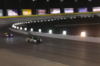 #42 Ford Mustang GT4 of Shane Lewis  with PF Racing

2019 Blancpain GT World Challenge America - Las Vegas, Las Vegas NV | Gavin Baker/SRO
