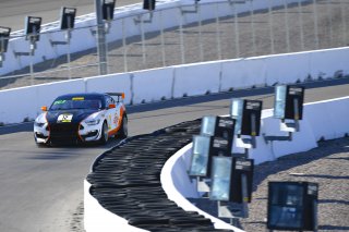 #12 Ford Mustang GT4 of Drew Staveley  with Ian Lacy Racing

2019 Blancpain GT World Challenge America - Las Vegas, Las Vegas NV | Gavin Baker/SRO
