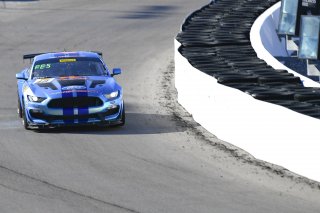#40 Ford Mustang GT4 of James Pesek  with PF Racing

2019 Blancpain GT World Challenge America - Las Vegas, Las Vegas NV | Gavin Baker/SRO

