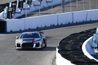 #5 Audi R8 LMS GT4 of Casey Dennis and Jeff Bader with USRD

2019 Blancpain GT World Challenge America - Las Vegas, Las Vegas NV | Gavin Baker/SRO
