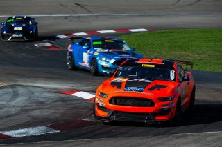 #41 Ford Mustang GT4 of Jade Buford  with PF Racing

2019 Blancpain GT World Challenge America - Las Vegas, Las Vegas NV | Fabian Lagunas/SRO