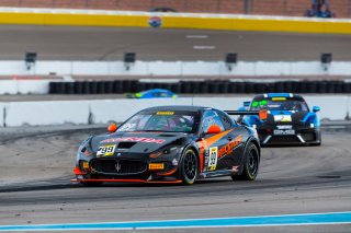 #99 Maserati Grand Turismo MC GT4 of Jeff Courtney  with JCR Motorsports

2019 Blancpain GT World Challenge America - Las Vegas, Las Vegas NV | Fabian Lagunas/SRO