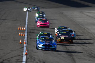 #40 Ford Mustang GT4 of James Pesek  with PF Racing

2019 Blancpain GT World Challenge America - Las Vegas, Las Vegas NV | Gavin Baker/SRO

