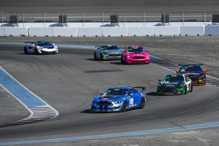 #40 Ford Mustang GT4 of James Pesek  with PF Racing

2019 Blancpain GT World Challenge America - Las Vegas, Las Vegas NV | Gavin Baker/SRO
