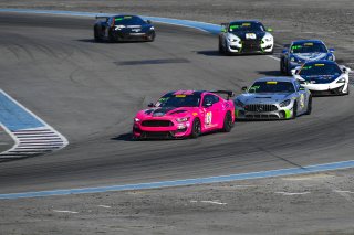 #42 Ford Mustang GT4 of Shane Lewis  with PF Racing

2019 Blancpain GT World Challenge America - Las Vegas, Las Vegas NV | Gavin Baker/SRO
