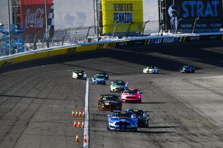 #40 Ford Mustang GT4 of James Pesek  with PF Racing

2019 Blancpain GT World Challenge America - Las Vegas, Las Vegas NV | Gavin Baker/SRO
