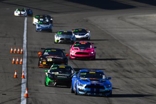 #40 Ford Mustang GT4 of James Pesek  with PF Racing

2019 Blancpain GT World Challenge America - Las Vegas, Las Vegas NV | Gavin Baker/SRO
