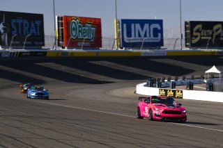 #41 Ford Mustang GT4 of Jade Buford  with PF Racing

2019 Blancpain GT World Challenge America - Las Vegas, Las Vegas NV | Gavin Baker/SRO
