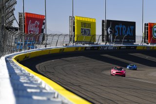 #41 Ford Mustang GT4 of Jade Buford  with PF Racing

2019 Blancpain GT World Challenge America - Las Vegas, Las Vegas NV | Gavin Baker/SRO
