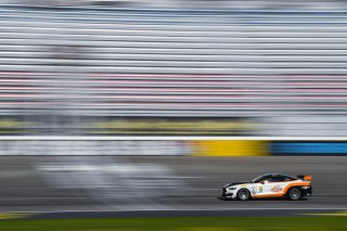 #12 Ford Mustang GT4 of Drew Staveley  with Ian Lacy Racing

2019 Blancpain GT World Challenge America - Las Vegas, Las Vegas NV | Gavin Baker/SRO

