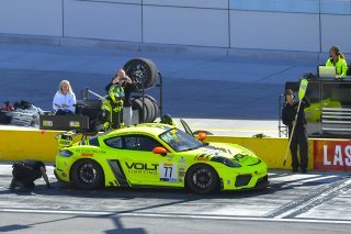 #77 Porsche 718 Cayman CS of Alan Brynjolfsson and Trent Hindman with Park Place Motorsports

2019 Blancpain GT World Challenge America - Las Vegas, Las Vegas NV | Gavin Baker/SRO

