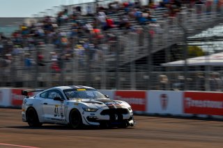 08 March 2019
#41 PF Racing Ford Mustang GT4 - Jade Buford 

Streets of St. Petersburg

St Petersburg FL. Photo by SRO / Gavin Baker photography | &copy; 2018 Gavin Baker
Gavin Baker
www.GavinBakerPhotography.com