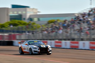 08 March 2019
#12 Ian Lacy Racing Ford Mustang GT4 - Ian Lacy 

Streets of St. Petersburg

St Petersburg FL. Photo by SRO / Gavin Baker photography | &copy; 2018 Gavin Baker
Gavin Baker
www.GavinBakerPhotography.com
