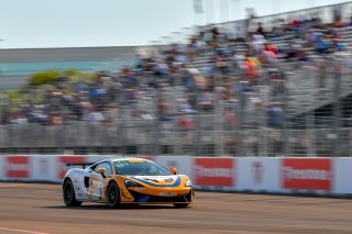 08 March 2019
#18 Andretti Autosport McLaren 570S GT4 - Jarett Andretti 

Streets of St. Petersburg

St Petersburg FL. Photo by SRO / Gavin Baker photography | &copy; 2018 Gavin Baker
Gavin Baker
www.GavinBakerPhotography.com