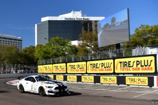 #41 PF Racing Ford Mustang GT4 Jade Buford 

Streets of St. Petersburg

St Petersburg FL. Photo by SRO / Gavin Baker photography | &copy; 2018 Gavin Baker
Gavin Baker
www.GavinBakerPhotography.com