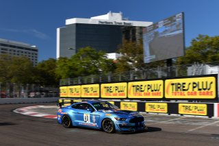 #40 PF Racing Ford Mustang GT4 James Pesek 

Streets of St. Petersburg

St Petersburg FL. Photo by SRO / Gavin Baker photography | &copy; 2018 Gavin Baker
Gavin Baker
www.GavinBakerPhotography.com