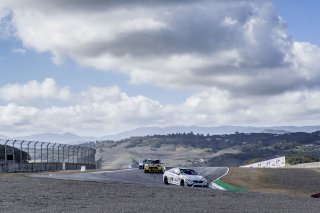 Action, Pirelli GT4 America, Race 1, WeatherTech Raceway Laguna Seca, March 29, 2019.  (SRO/Brian Cleary)
 | SRO Motorsports Group