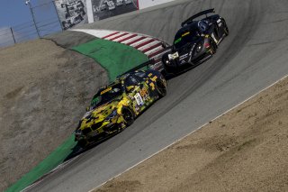 #38 BMW M4, GT4, Samantha Tan, Jason Wolfe, Pirelli GT4 America, Race 2, WeatherTech Raceway Laguna Seca, March 2019.  (SRO/Brian Cleary)
 | SRO Motorsports Group