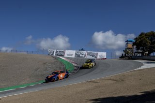 #19 BMW M4, GT4, Sean Quinlan, Gregory Liefooghe, Pirelli GT4 America, Race 2, WeatherTech Raceway Laguna Seca, March 2019.  (SRO/Brian Cleary)
 | SRO Motorsports Group