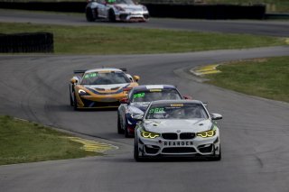 #80 BMW M4 GT4  of Dmitri Novikov  

VIRginia International Raceway, Alton VA                                                   | SRO Motorsports Group
