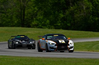 #12 Ford Mustang GT4 of Drew Staveley  

VIRginia International Raceway, Alton VA | Gavin Baker/SRO
