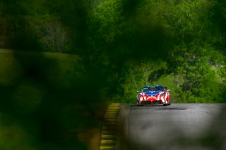 #50, Panoz Avezzano GT4, Ian James  | © 2019 Gavin Baker