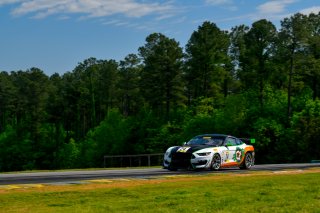 #24, Ford Mustang GT4, Frank Gannett  | &copy; 2019 Gavin Baker