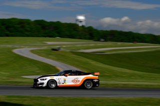 #12 Ford Mustang GT4 of Drew Staveley  

VIRginia International Raceway, Alton VA | Gavin Baker/SRO
