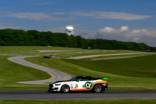 #24 Ford Mustang GT4 of Frank Gannett  

VIRginia International Raceway, Alton VA | Gavin Baker/SRO
