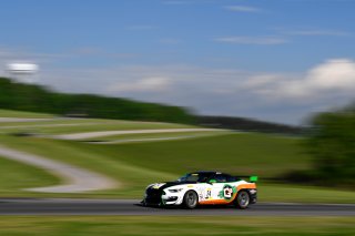 #24 Ford Mustang GT4 of Frank Gannett  

VIRginia International Raceway, Alton VA | Gavin Baker/SRO
