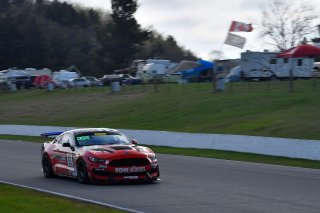#55 Ford Mustang GT4 of Nate Stacy, Castrol Victoria Day SpeedFest Weekend, Clarington ON
 | SRO Motorsports Group