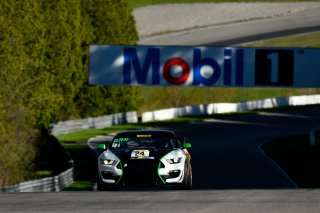 #24 Ford Mustang GT4 of Frank Gannett  

Castrol Victoria Day SpeedFest Weekend, Clarington ON | Gavin Baker/SRO
