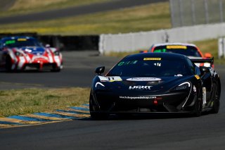 #11 McLaren 570S GT4 of Tony Gaples  

SRO at Sonoma Raceway, Sonoma CA | Gavin Baker/SRO
