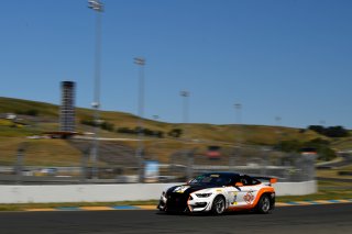 #12 Ford Mustang GT4 of Drew Staveley  

SRO at Sonoma Raceway, Sonoma CA | Gavin Baker/SRO
