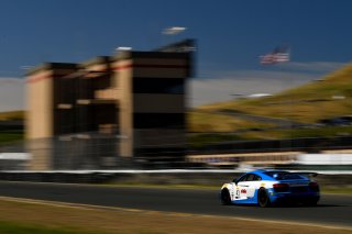 #43 Audi R8 LMS GT4 of Sarah Cattaneo and Owen Trinkler 

SRO at Sonoma Raceway, Sonoma CA | Gavin Baker/SRO
